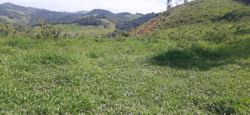 Imagem 1 de 9 de Terrenos/lotes Em Santa Isabel Com Otima Topografia.