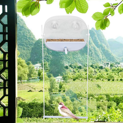 Comedero Redondo Para Pájaros U Exquisite Para Patio, Colgan