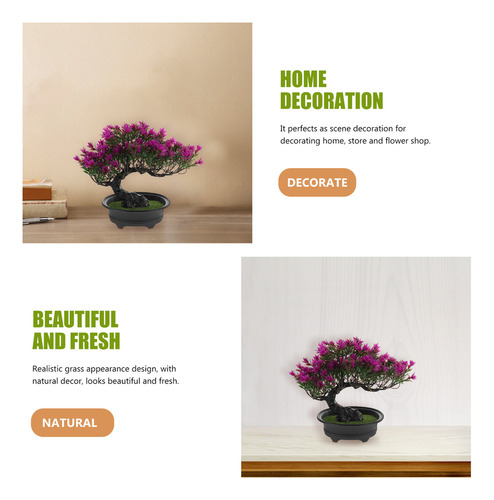 ` Simulación Welcome Pine Flowers