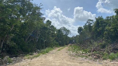 Imagen 12 de 13 de Terreno Venta Cancun Doctores 2500m2