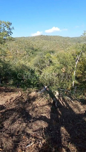 Lote En Venta En Zipolite Arroyo Tres, 960 Mts2.