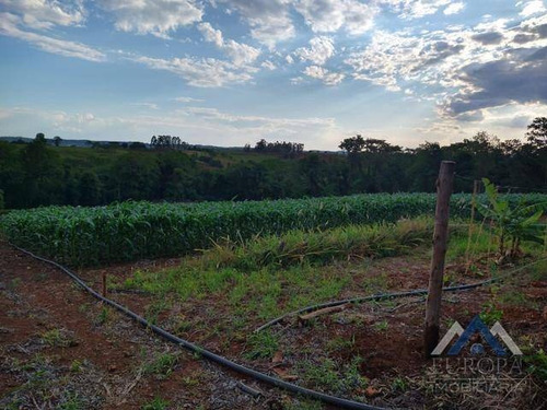 Imagem 12 de 15 de Chácara Com 2 Dormitórios À Venda, 30000 M² Por R$ 500.000,00 - Agua Das Flores - Jataizinho/pr - Ch0155