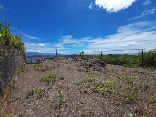 Imagen 4 de 7 de Terreno En Venta En Urb. El Limón San Antonio De Los Altos