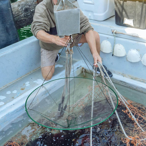 Cebo De Pesca Con Señuelos, Red De Pesca