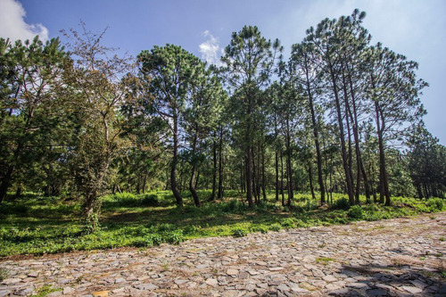 Terreno En Venta En Real De Encinos, Tapalpa, Jalisco.