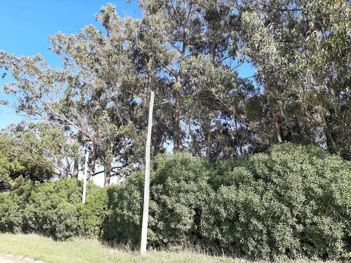 Excelente Lote En Venta De 1875 M² - Miramar Pcia De Buenos