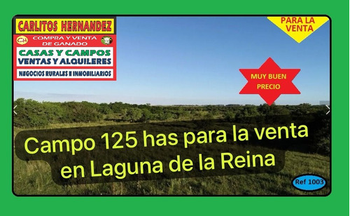 Ref 1003 -campo Establecimiento Agricola Ganadero De 125 Hectareas En  Venta En Laguna De La Reina Con Exelentes Aguadas En El Río San Jose - Con Casco Y Galpones - Muy Buen Precio - Pos Financiasion 