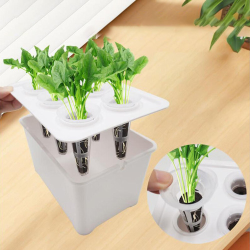 Sistema De Cultivo Hidropónico, Kit De Cultivo Hidropónico P