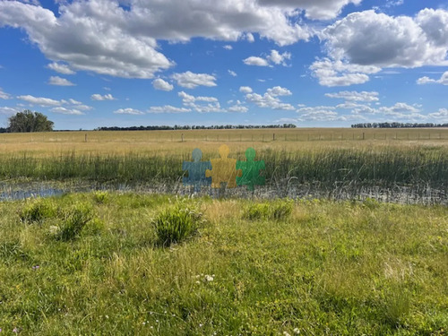 Campo En Durazno, 687 Hectáreas En Venta - Ref : Eqp5735