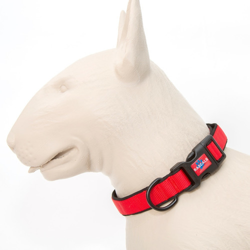 Collar Perro Mediano Acolchonado Premium Rascals Color Rojo Neoprene - SBR Tamaño del collar M