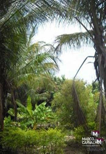 Imagem 11 de 20 de Chácara Com 1 Dormitório À Venda, 5000 M² Por R$ 620.000,00 - Lacio - Marília/sp - Ch0009