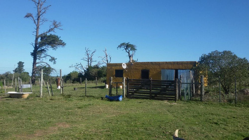Chacra A 20 Minutos De Punta Del Este Sobre Interbalnearia