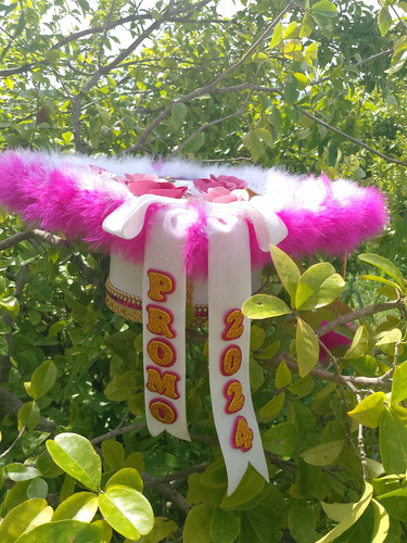 Birrete De Graduación Decorados Gorro Personalizado