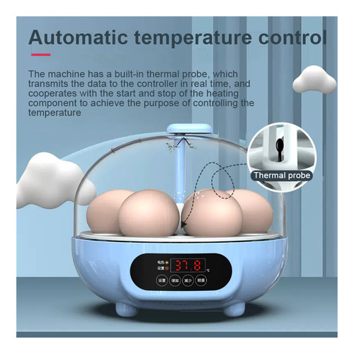 Mini Incubadora Incubadora 6 Ovos Ovoscópio Automático