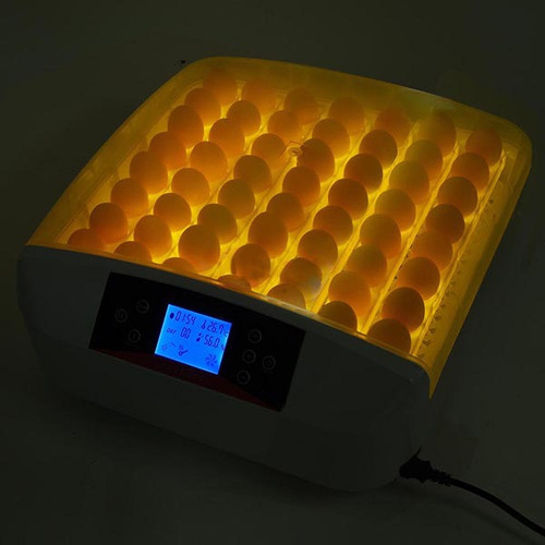 Imagen 4 de 6 de Incubadora De Pollos Capacidad 55 Huevos