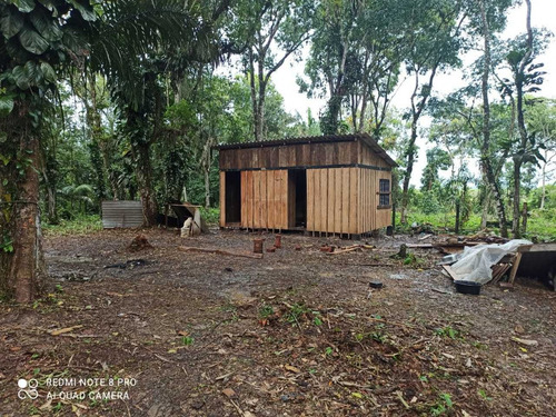 Chácara 5.400m2 Tucunduva Rua De Cima