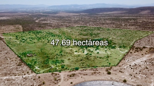 Hectáreas En Venta Con Pozo Y Derechos De Extracción | Mineral De Pozos