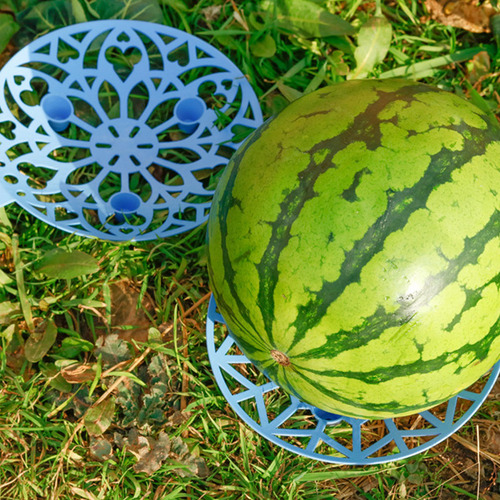 Bandeja De Frutas Melon Cradle Para Sandías, 3 Unidades