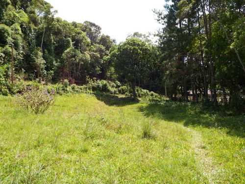 Imagem 8 de 11 de Chácara À Venda Em Juquitiba Ideal Para Moradia 3.000 M²