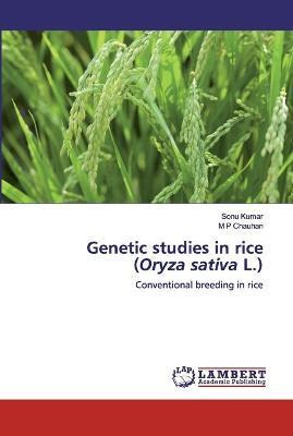 Libro Genetic Studies In Rice (oryza Sativa L.) - Sonu Ku...