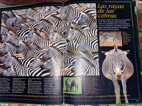 Biblioteca Familiar 3d Disfraces Del Mundo Animal - Billiken (Usado)