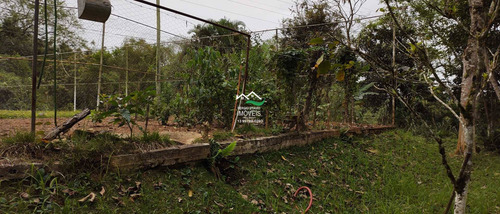 Imagem 7 de 30 de Casa Com 3 Dorms, Area Rural, Pedro De Toledo - R$ 500 Mil, Cod: 821 - V821