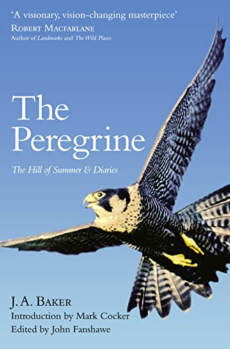 Libro The Peregrine: The Hill Of Summer & Diaries De Baker J