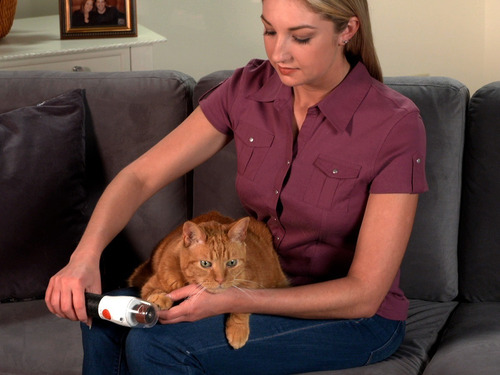 Paw Perfect Recargable Lima Mascotas 2 Piezas - Cv Directo