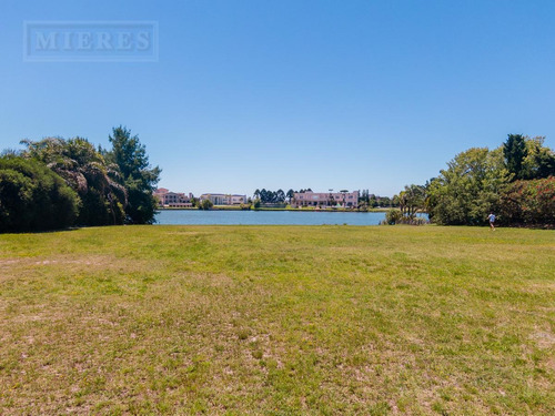 Imagen 4 de 15 de Lote En Venta , La Mejor Orientación Norte, Laguna Central.- La Isla Nordelta