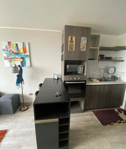 Arriendo Comodo Dpto Amoblado. 1 Dormitorio 1 Baño.