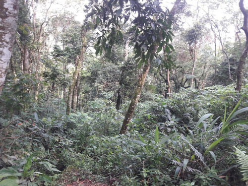 Imagem 12 de 14 de Terreno Bem Localizado - Possibilidade De Permuta Parcial.