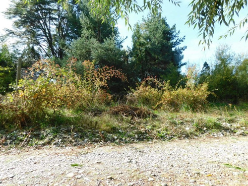 Imagen 11 de 12 de Terreno 450 Mt2 Lago Puelo Con Arboles Autoctonos Cercado