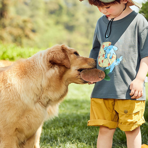 Rompecabezas De Enriquecimiento Para Perros Alfombra Para Ol