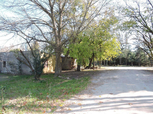 Imagen 6 de 7 de Lote En Veronica, 10x30, Punta Indio
