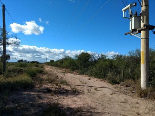 San Luis Ruta 20 150 Has Sobre Ruta Ganaderas