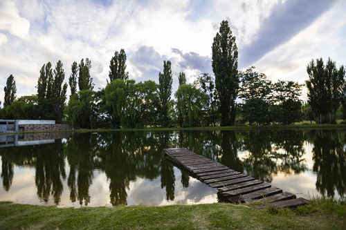 Lot K4 Algodón Wine Estates