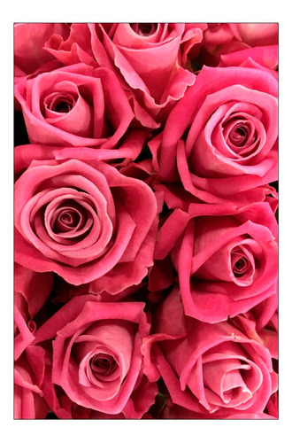 Vinilo Decorativo 20x30cm Rosa Flor Jardin Planta M5