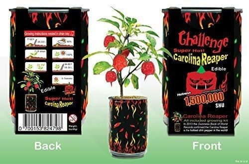 Desafío Super Hot Carolina Reaper Plant Kit