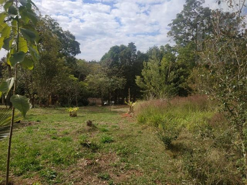 Imagem 7 de 10 de Cód 5735 - 1.374 M² De Frente Para O Asfalto Com Água Da Sab - 5735