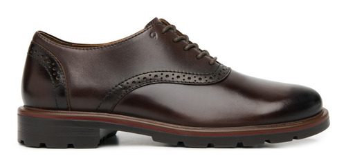 Zapato Quirelli Para Hombre Estilo 88614 Nogal