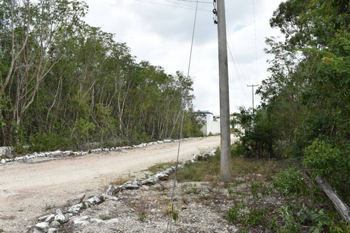 Imagen 6 de 10 de En Venta Terreno En Cancún, Colonia Doctores C2991