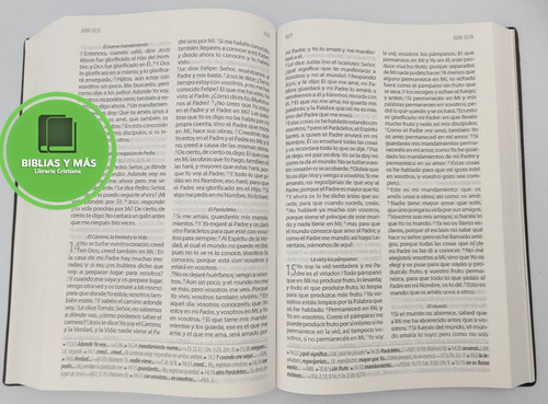 Imagen 9 de 9 de Biblia Textual Iv Edición Vinil Negro