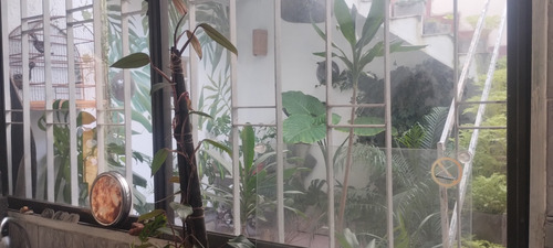 Casa Ph En Venta 3 Ambientes En Beccar