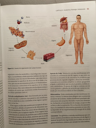 Ciencias De La Salud (Usado)