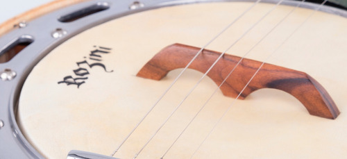 Banjo Ativo Rozini Color Rj11 At. Vd Verde