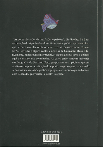 Cores de Rosa: Ensaios sobre Guimarães Rosa, de Meneses, Adélia Bezerra de. Editorial Ateliê Editorial Ltda - EPP, capa mole em português, 2010