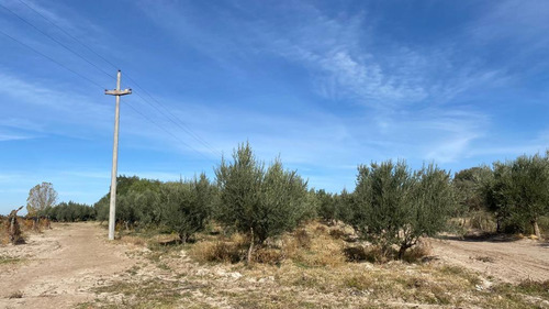 Venta | Finca | Anchoris | Tupungato | Mendoza