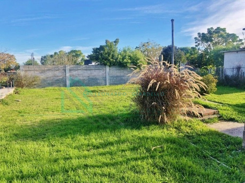Imagen 9 de 13 de Colonia Del Sacramento - Casa De Sólida Construcción E Interesante Terreno