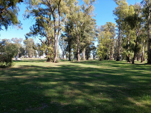 Imagen 12 de 15 de Venta-terreno - Los Tres Pinos-gral Rodriguez-oportunidad!!! Ideal Inversion