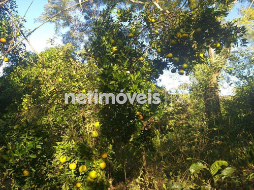 Imagem 14 de 25 de Venda Chácara Zona Rural São Sebastião - 807249